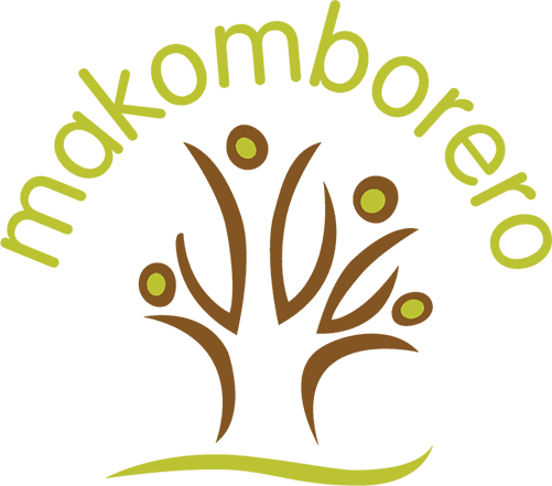 Makomborero Zimbabwe A-Level Scholarship logo